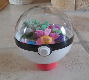 Terrarium Pokemon