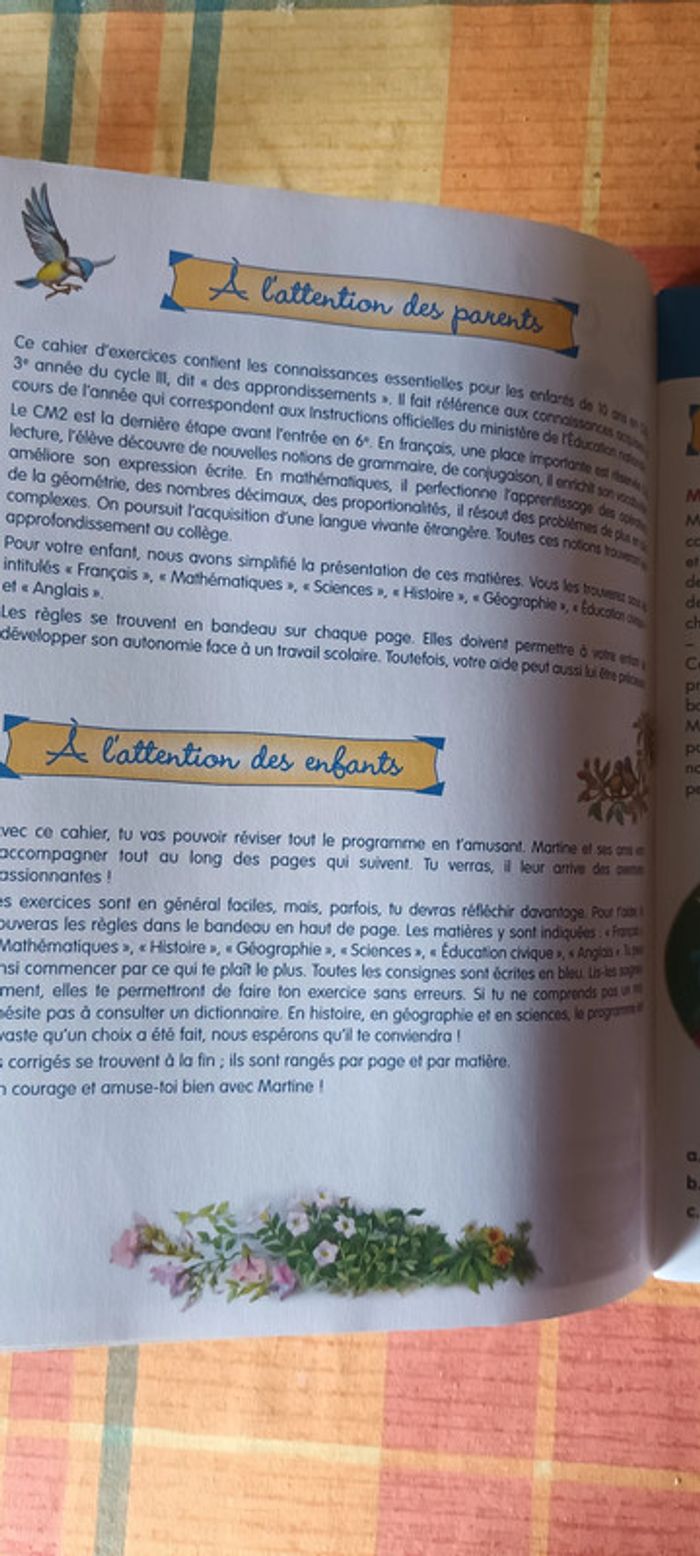 Les cahiers Martine - Révision CM2 - photo numéro 3