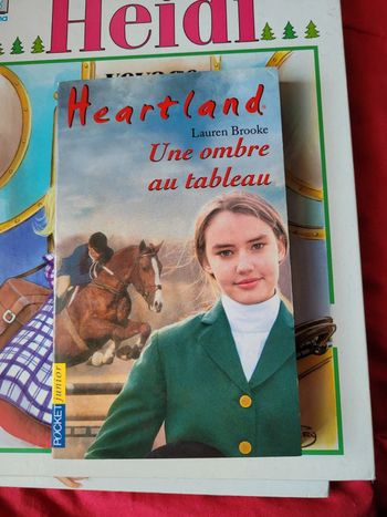 Livre Heartland Une ombre au tableau