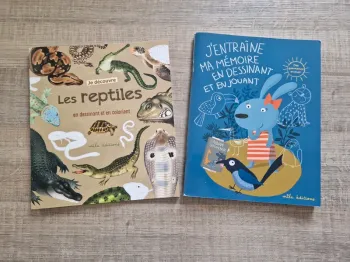 Lot de 2 cahiers d'activités