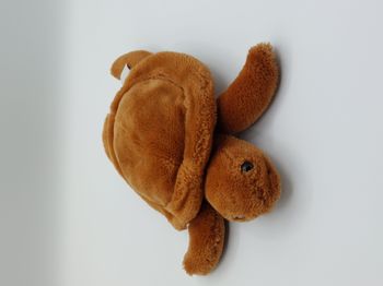 Peluche doudou tortue marron beige LASCAR 28 cm yeux durs
