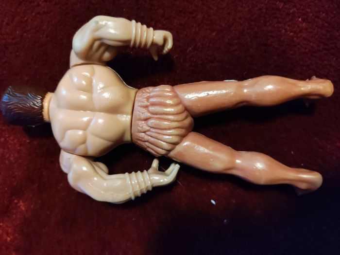 muscle man - photo numéro 3