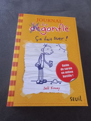 Livre roman journal d'un dégonflé tome 4