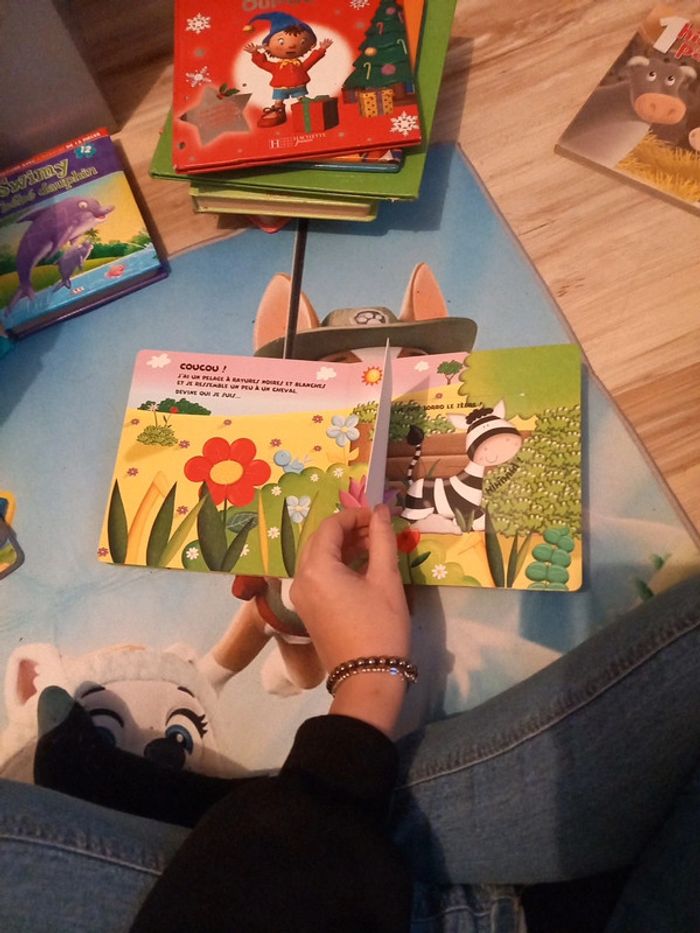 Livre flip flash au zoo - photo numéro 6