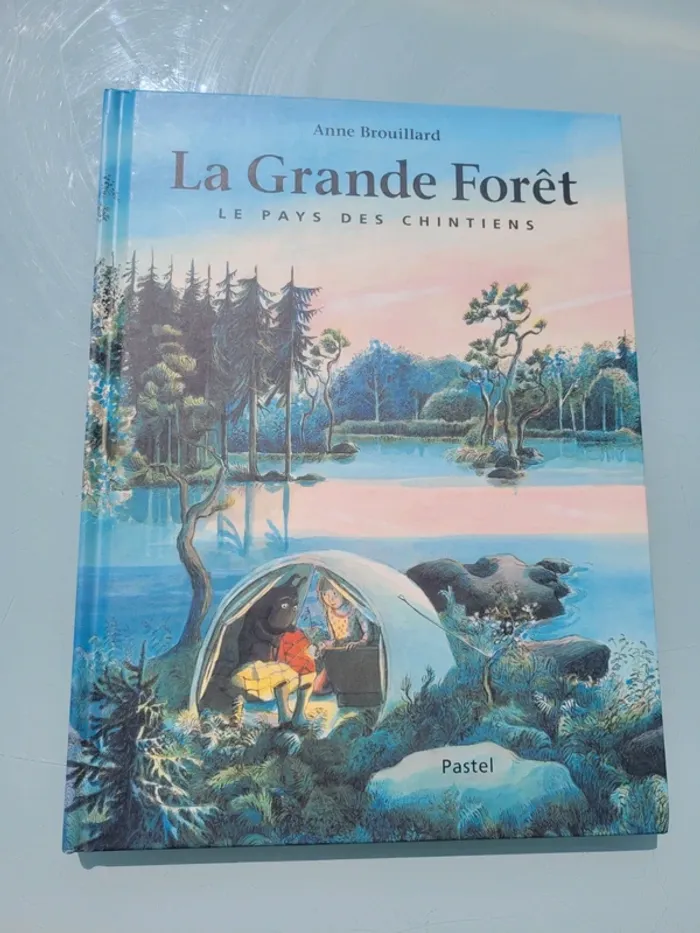 Livre couverture rigide, grand format, l'école des loisirs, La Grande Forêt, le pays des Chintiens - photo numéro 2