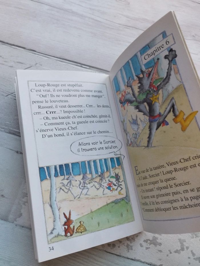 Livre "Loup-rouge" - photo numéro 3