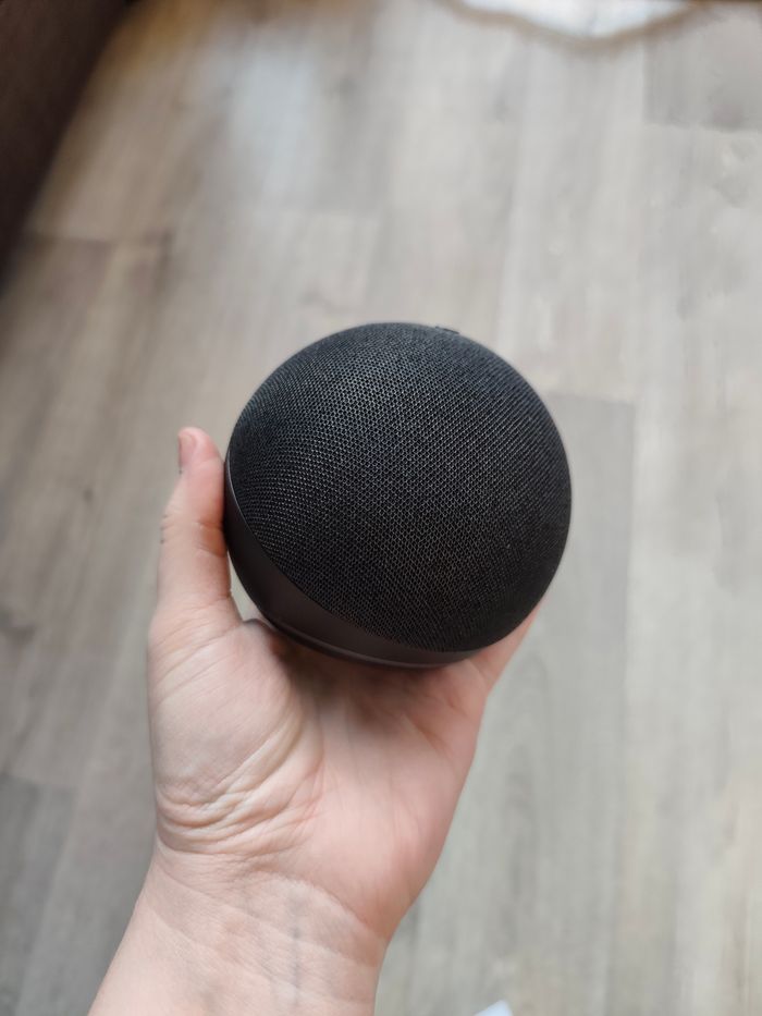 Assistante Alexa - photo numéro 4
