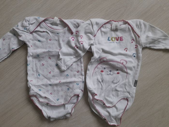 Lot de 2 bodies absorba