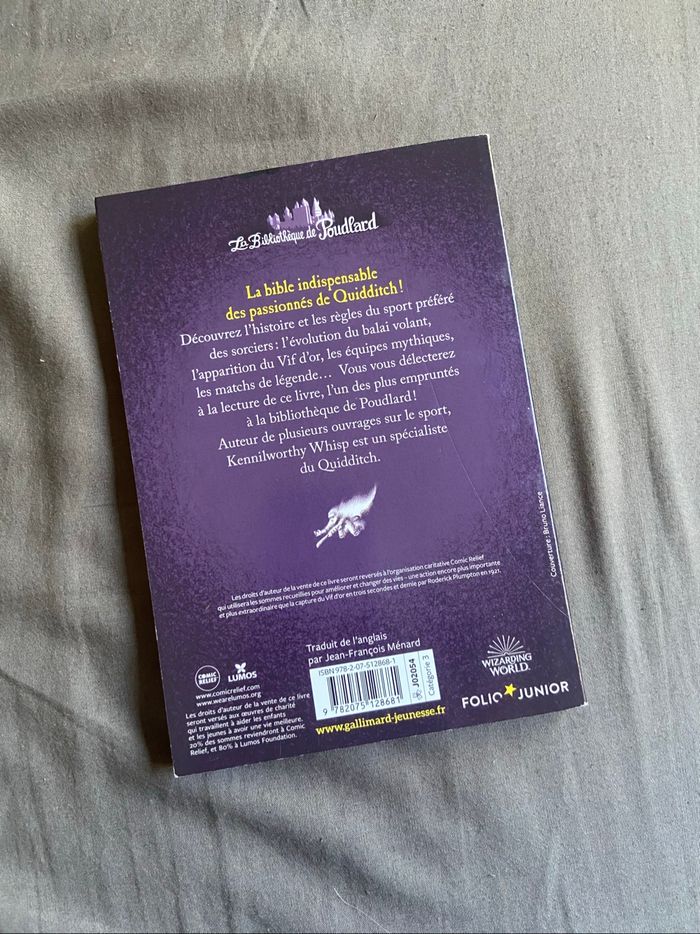 Le Quidditch a travers les âges - photo numéro 3