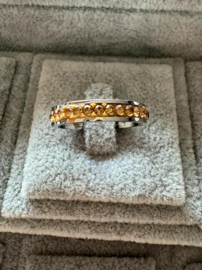 Bague acier chirurgical