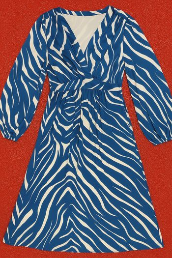 Robe longue à manche longue couleur zèbre bleu et blanc