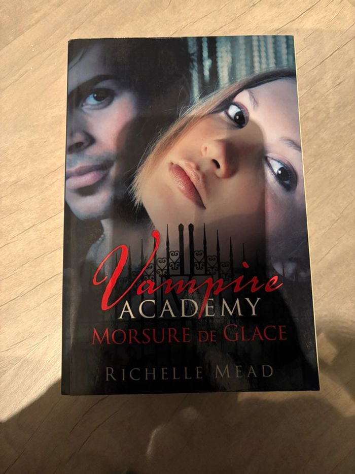 Vampire Academy - photo numéro 3