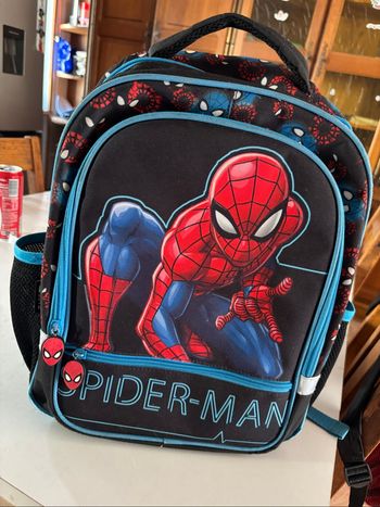 Sac Spiderman