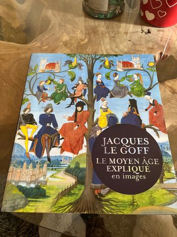 Livre « Le moyen âge expliqué en images » Jacques Le Goff