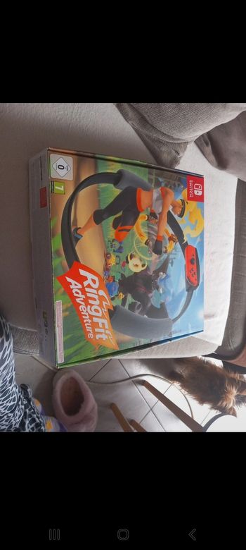 Jeu ringfit adventure