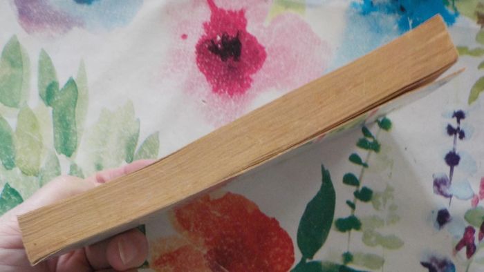 Terreur sur Izaad de Gabriel Jan Ed. Fleuve Noir - photo numéro 5