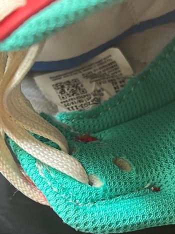 Basket Dunk Nike édition limitée rare  année  lapin