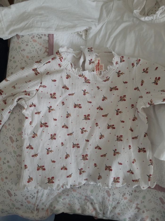 Lot 3 Tee-shirts manches longues 9 mois - photo numéro 2