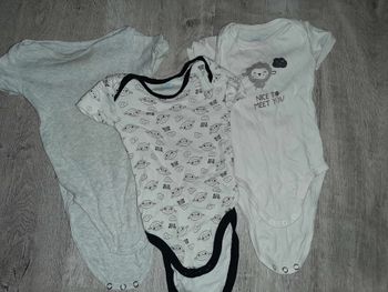 Lot 3 bodys 9 mois