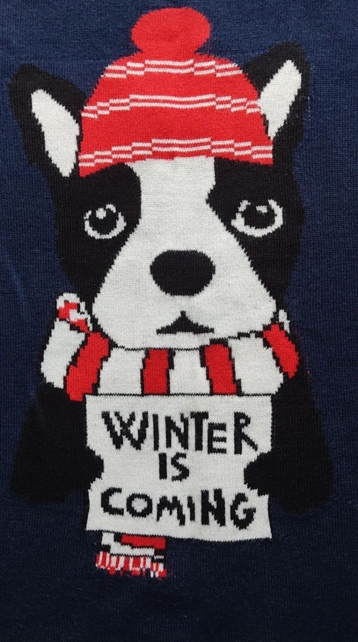 Pull homme. - photo numéro 2