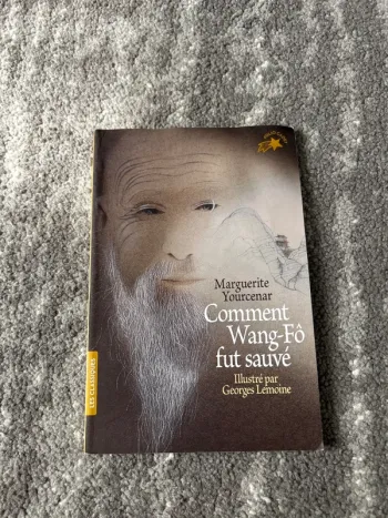Roman « comment wang-fô fut sauvé »