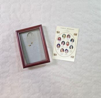 Carte postale de collection  , Napoléon  , famille Bonaparte