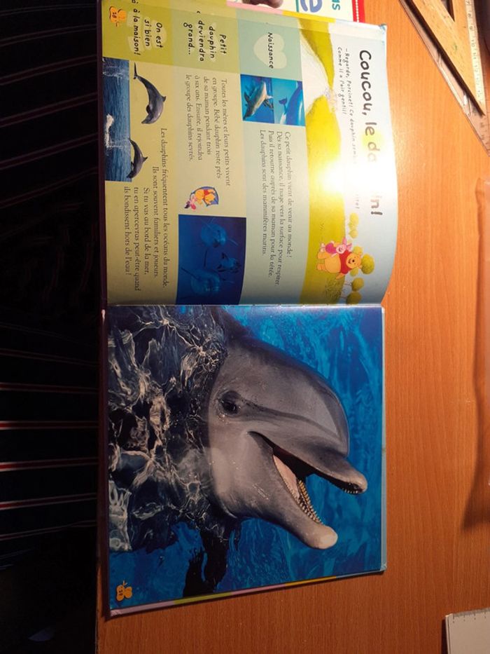 Les animaux marins - photo numéro 2