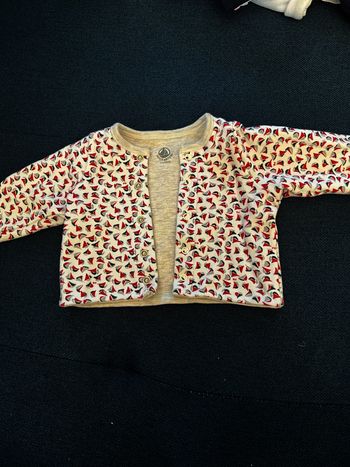 Veste petit bateau