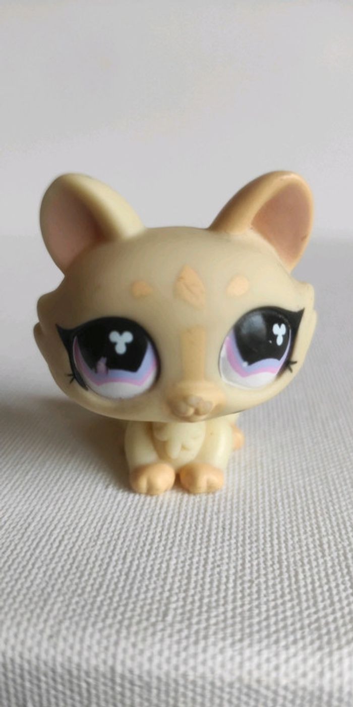 My littlest petshop chat sphynx 848 - photo numéro 2