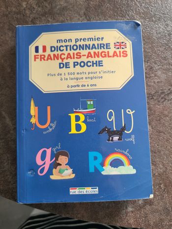 Dictionnaire de poche Français Anglais