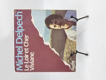 Vinyle 45 tours Michel Delpech : Le Loir et Cher Viviane avec fourreau