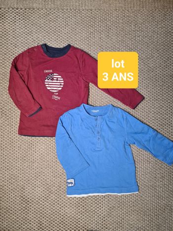 Lot de 2 t shirts  ML épais garçon - 3 ans