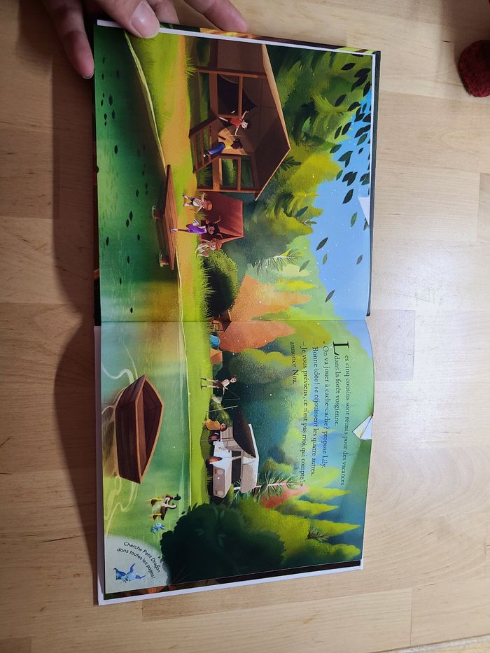 Cache cache dans les Vosges - photo numéro 4