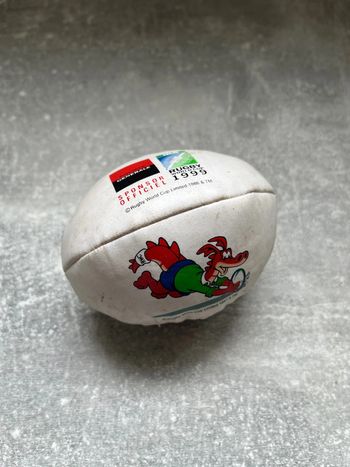 Mini ballon de rugby