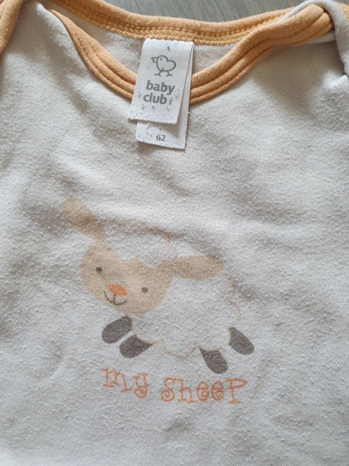 Lot bodies 3mois - photo numéro 2