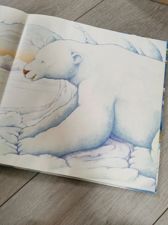 Ours Blanc - photo numéro 3