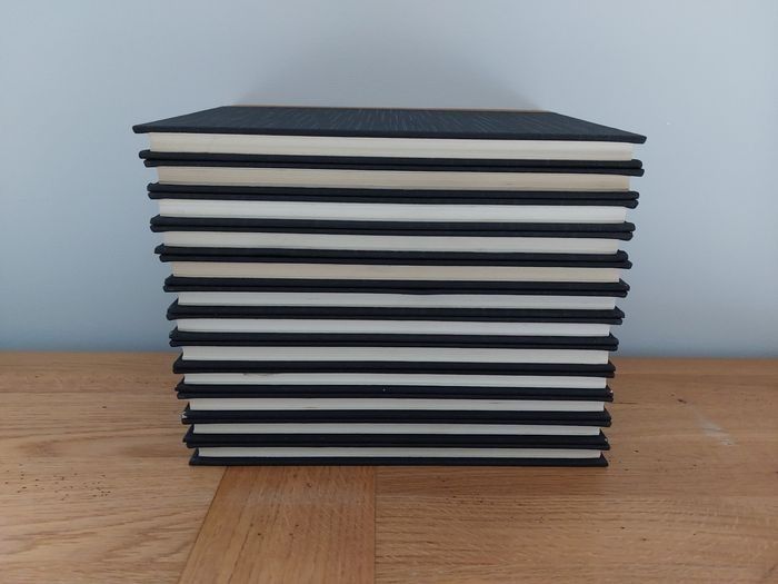 Collection Les Grands Maîtres de la Peinture Moderne - 12 volumes - photo numéro 8