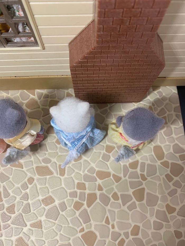 Persian cat family  5455 - photo numéro 6