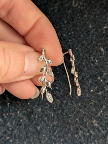 Jolies boucles d'oreilles argentées