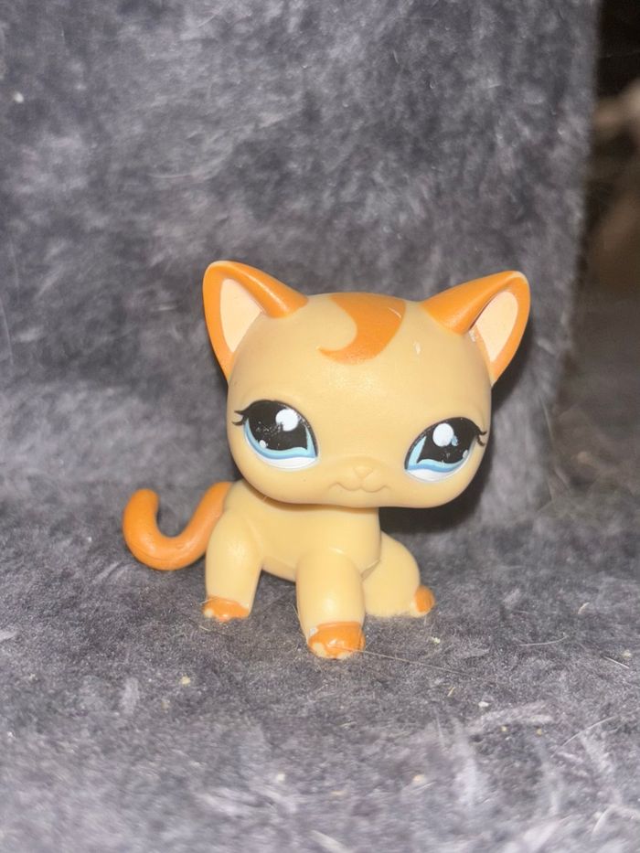 chat européen #1023