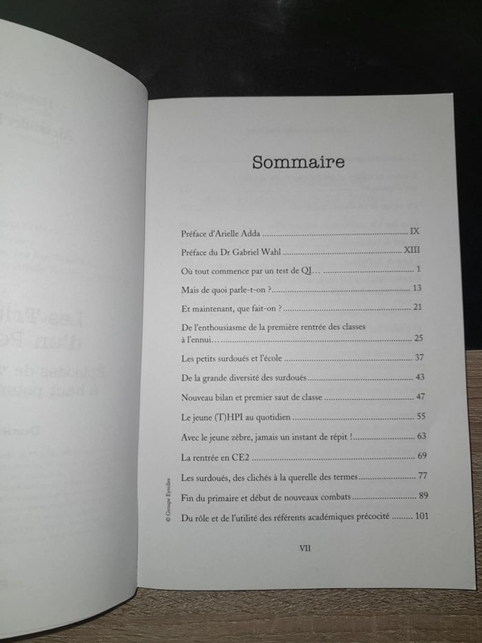 livre les tribulations d'un petit zèbre - photo numéro 2