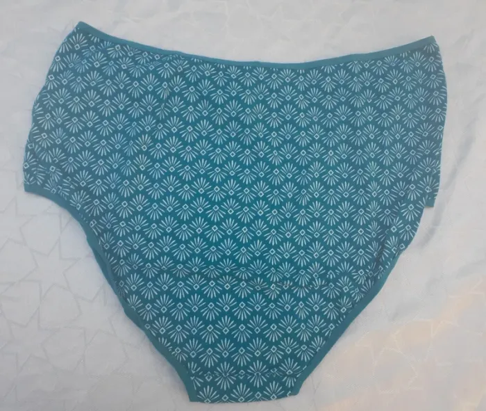 Lot de 10 culottes T50/52 - photo numéro 4