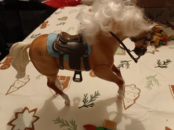 Grand Champion - Grand Palomino