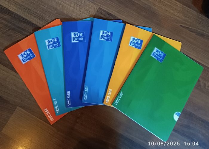 Lot de 6 cahiers Oxford Open Flex - 24x32 - 96 pages - grands carreaux