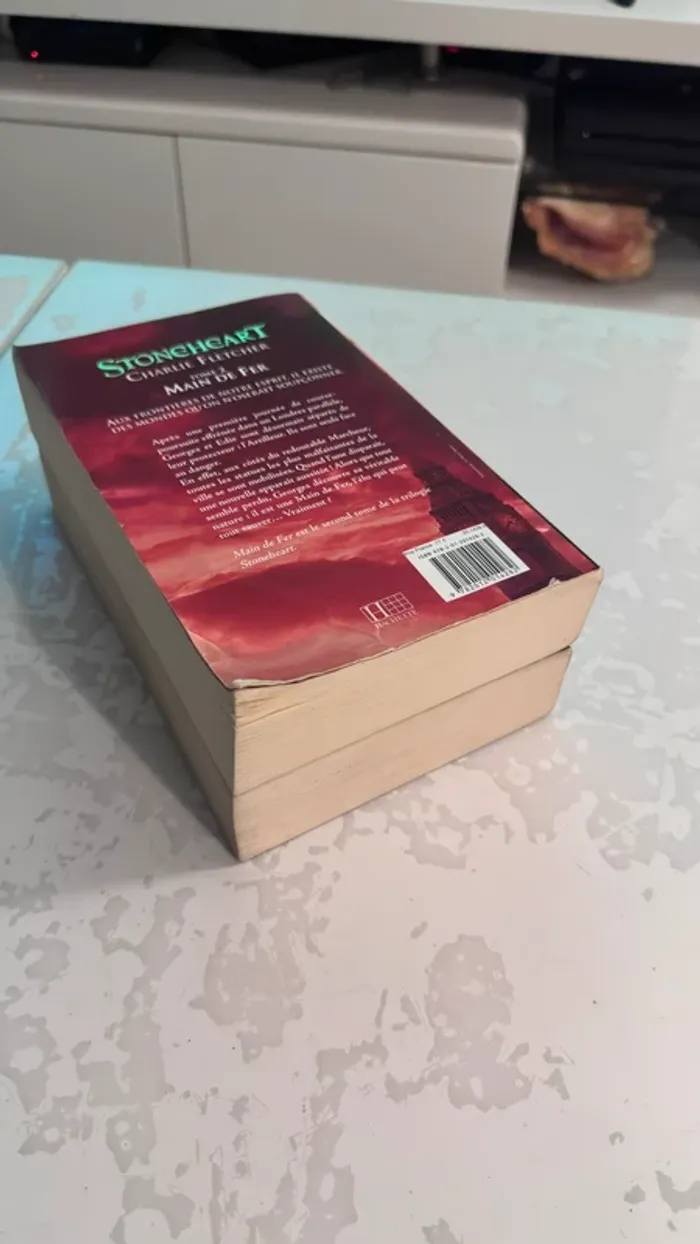📚 Lot de 2 livres – Stoneheart (Tome 1 & Tome 2 : Main de Fer)  Charlie Fletcher – Éditions Hachette - photo numéro 6
