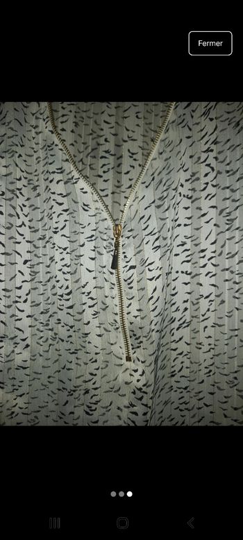 Blouse fils brillants