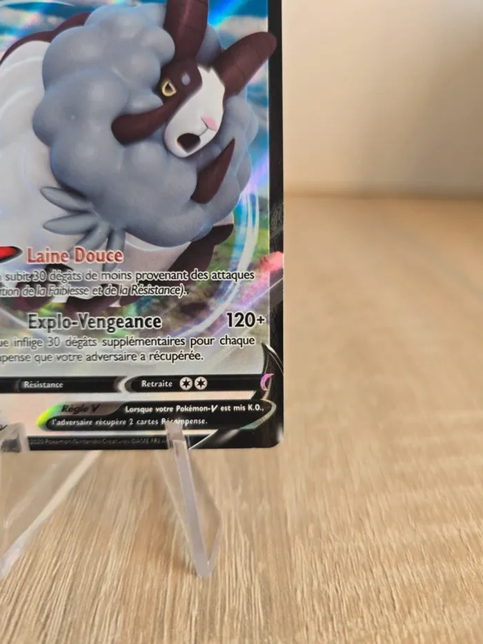 Moumouflon V SWSH049 - photo numéro 4