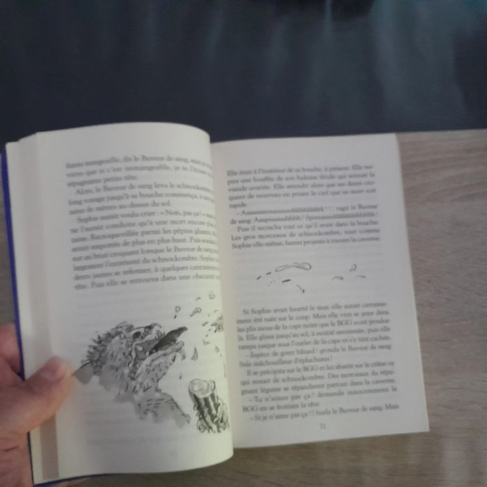 roman Roald Dahl - le BGG le bon gros géant - photo numéro 3