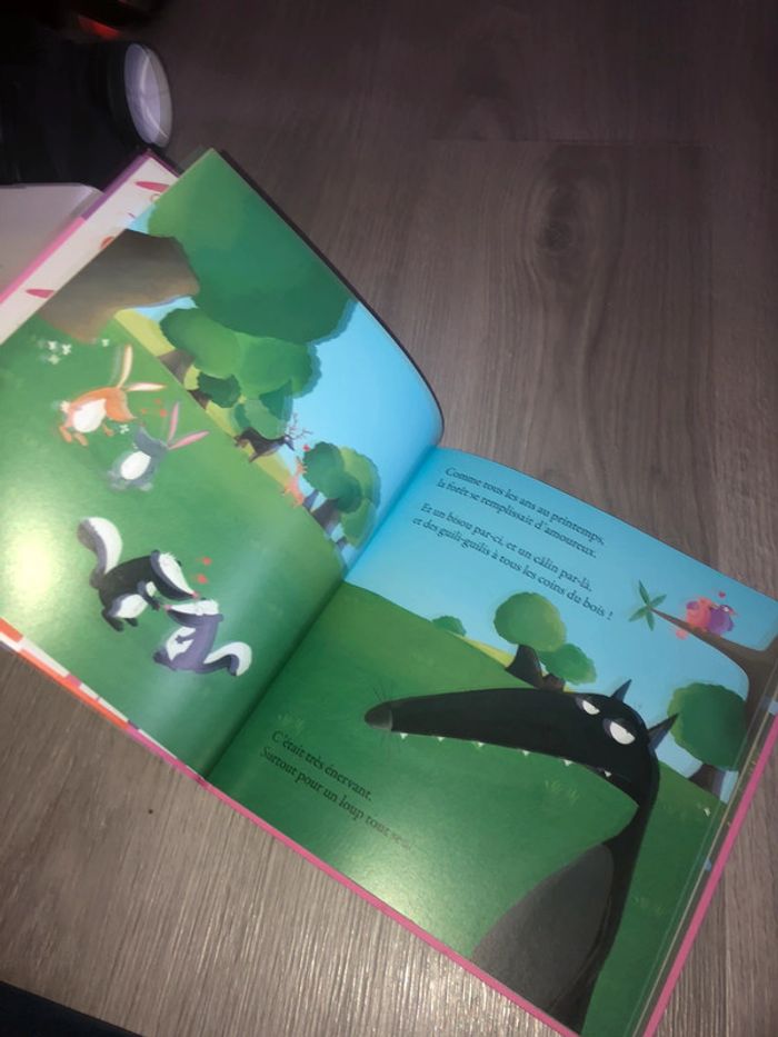 Lot de 3 livres le loup - photo numéro 6