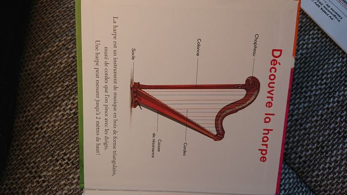 Concerto pour harpe chat et poney - photo numéro 2